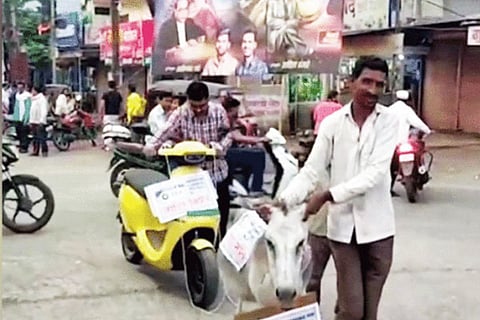 Donkey