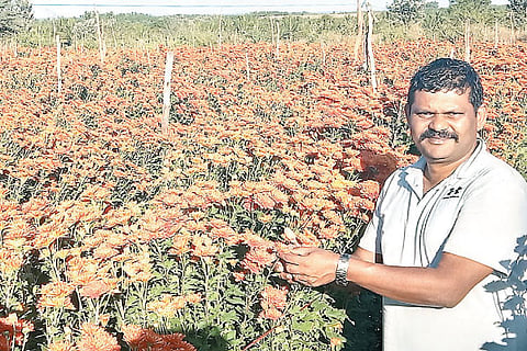 Floriculture