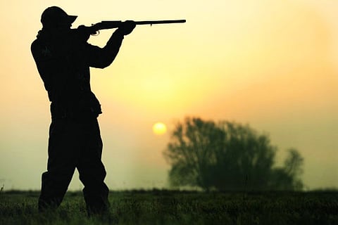 Hunting