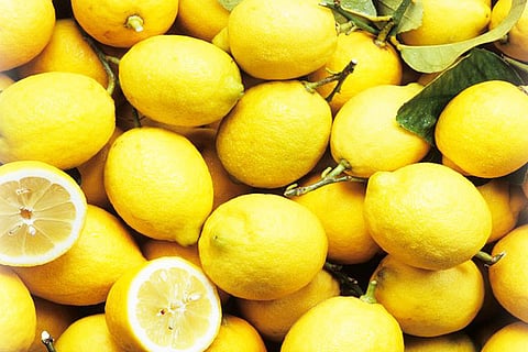 Lemon chandigarh