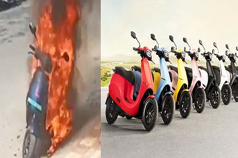 Ola
