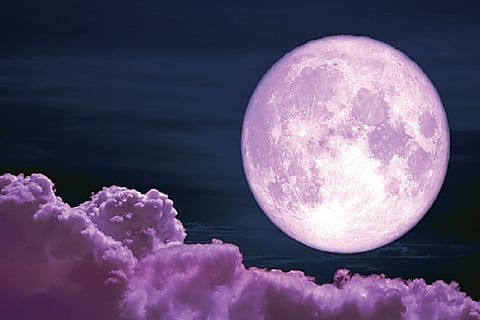 Pink Moon