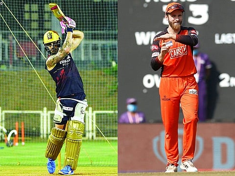 rcb-srh web