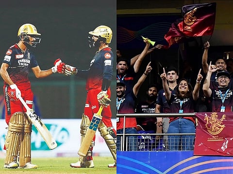 rcb vs rr web