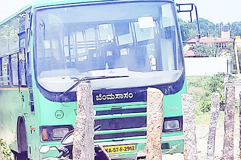 30 Nela Ph 02 Bus