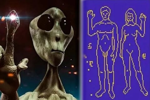 Alien