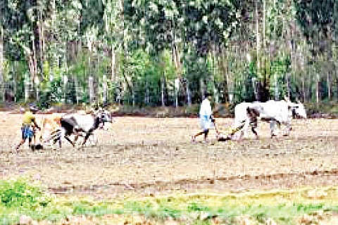 Bagar Hukum