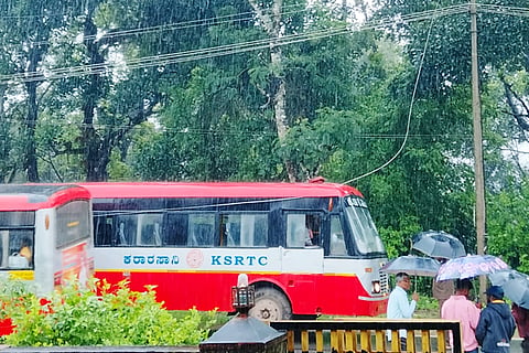 Bus