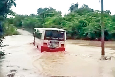 Bus