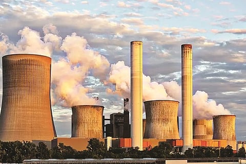 Coal