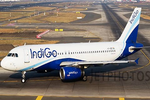 Indigo