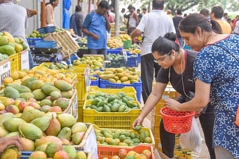 lalbag mango mela