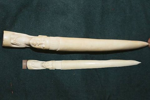 Elephant ivory