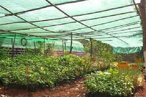 Nursery
