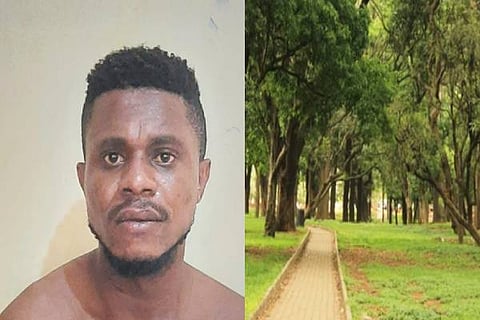 Park Arrest
