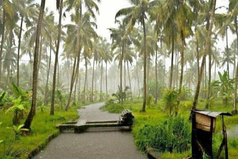 Rain Kerala