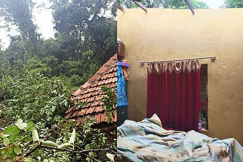 kodagu rain