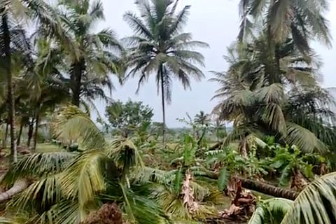 rain effect