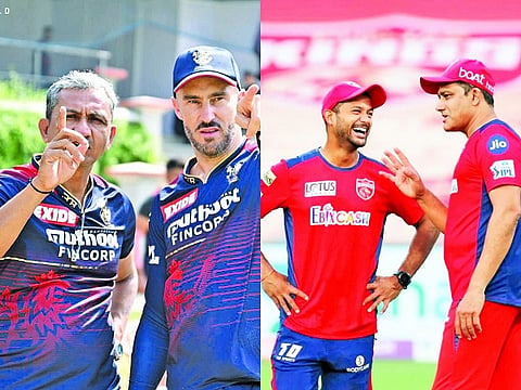 rcb vs pkjb web
