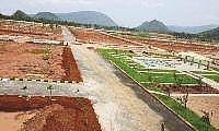 site layout3