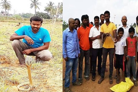 snake surendra