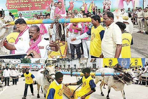 130622 Raichur Habba Mansoon Festival