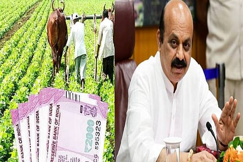CMkissan