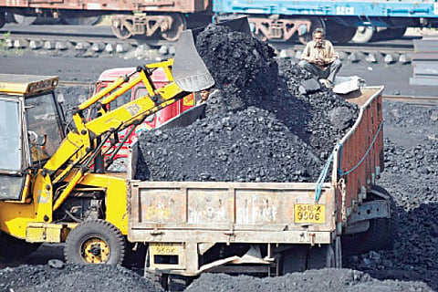 Coal