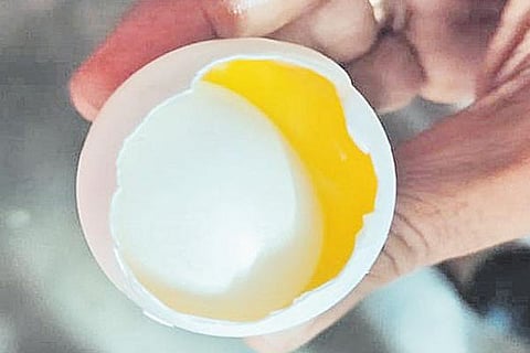 Egg in egg
