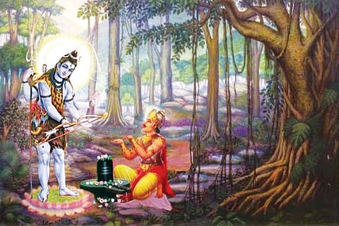 Manollasa