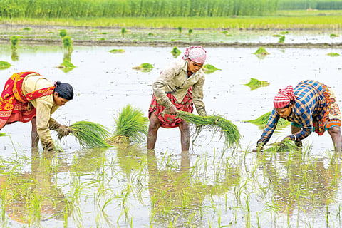 Mungaru
