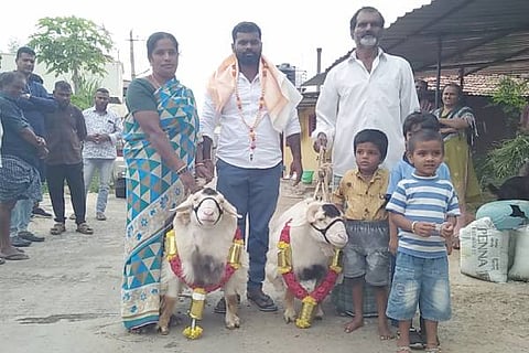 mandya bandur kuri