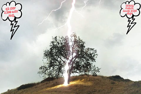 Thunder