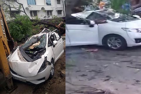 Tree falls on Car