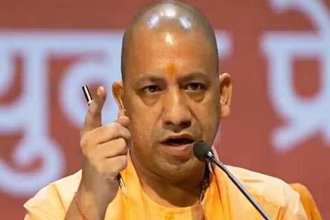 Yogi