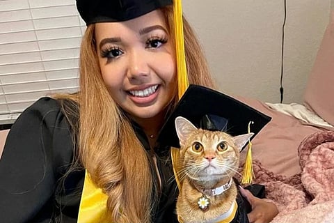 cat
