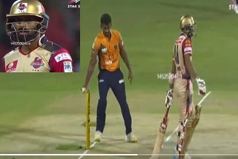 cricket