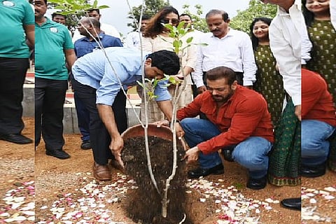 salman