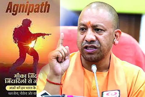 yogi