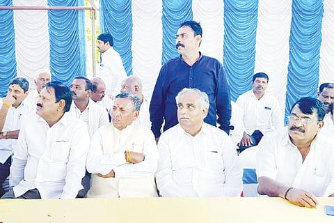 02-kolara-1