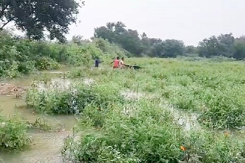 10072022 Hadagali crop loss