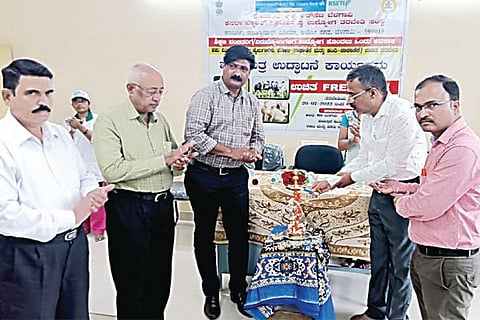 22Jaggu2