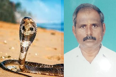25072022 SIRAGUPPA SNAKE