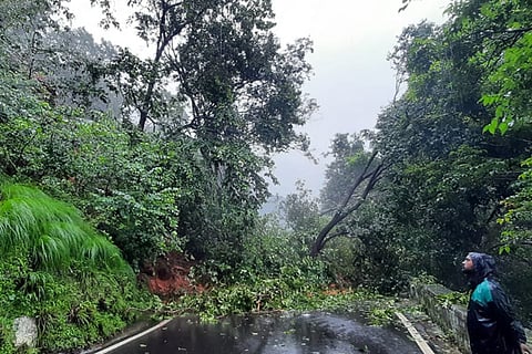 Agumbe