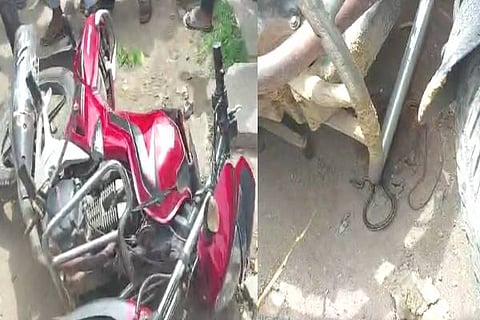 Bikesnake
