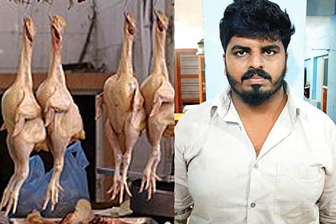 Chicken