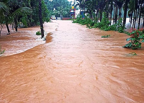 Dakshina kannada rain