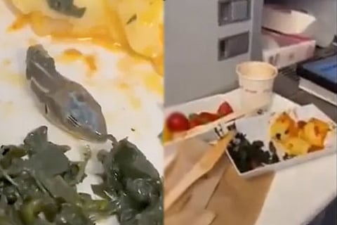 Flight Food