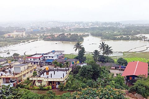 Flood