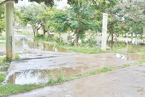 Harihara, funeral, problem,